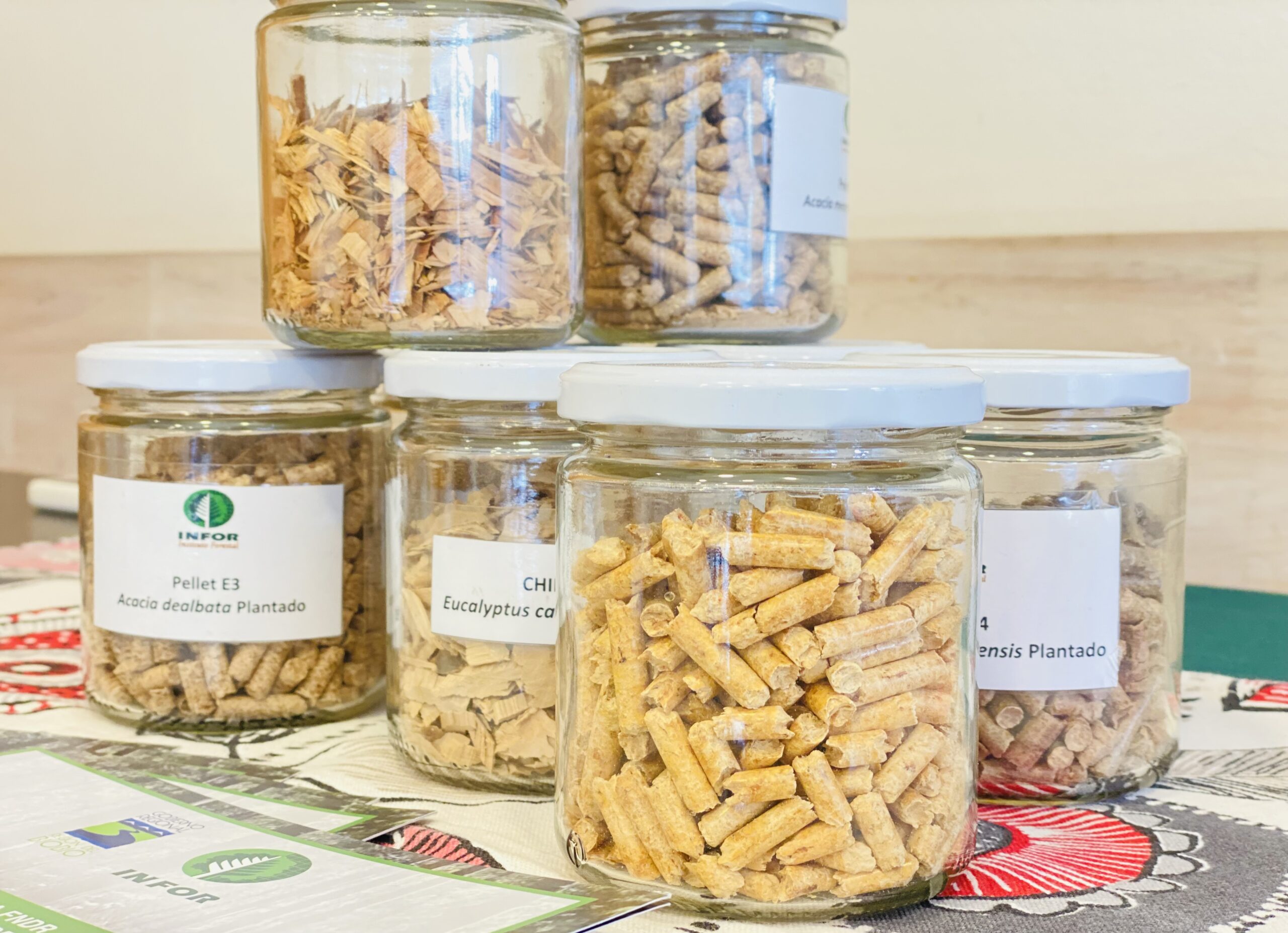 Implementarán plataforma para disminuir riesgo de desabastecimiento en el mercado de pellet en Biobío