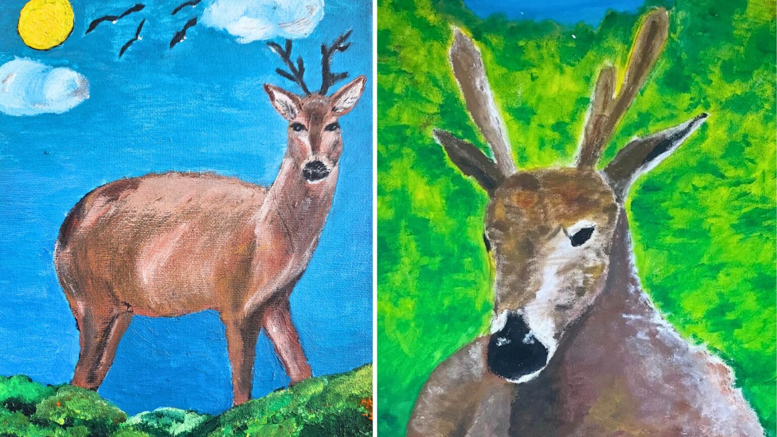 CONAF Aysén lanza concurso de dibujo escolar para proteger al huemul