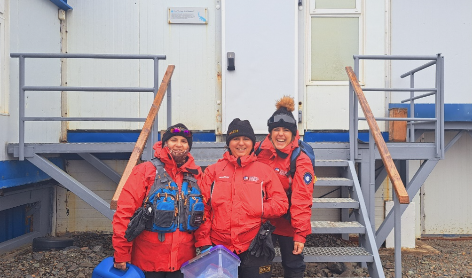 Investigadoras estudian el rol del microbioma en la tolerancia de macroalgas antárticas al cambio climático