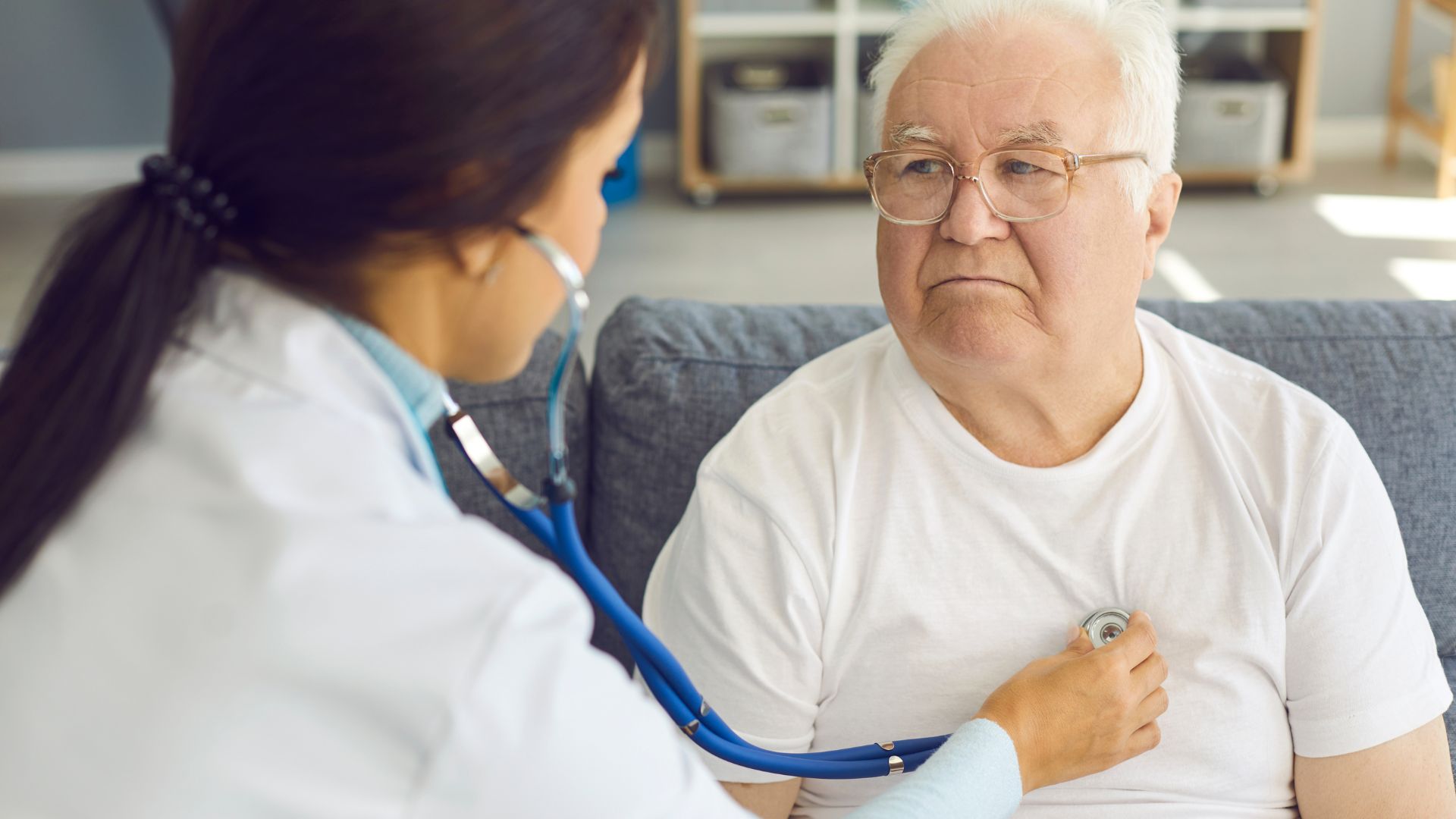 Fiebre del loro: Experta UCSC analiza los riesgos de la infección que transmiten cotorras argentinas 