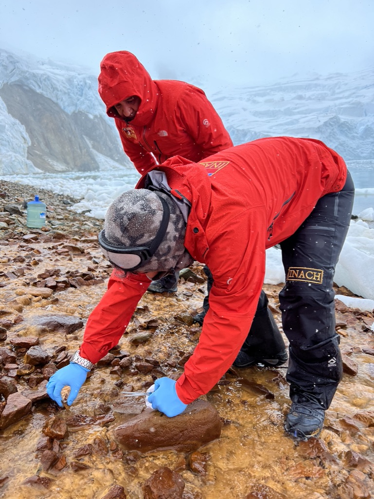 Microorganismos antárticos como una solución para la descontaminación ambiental