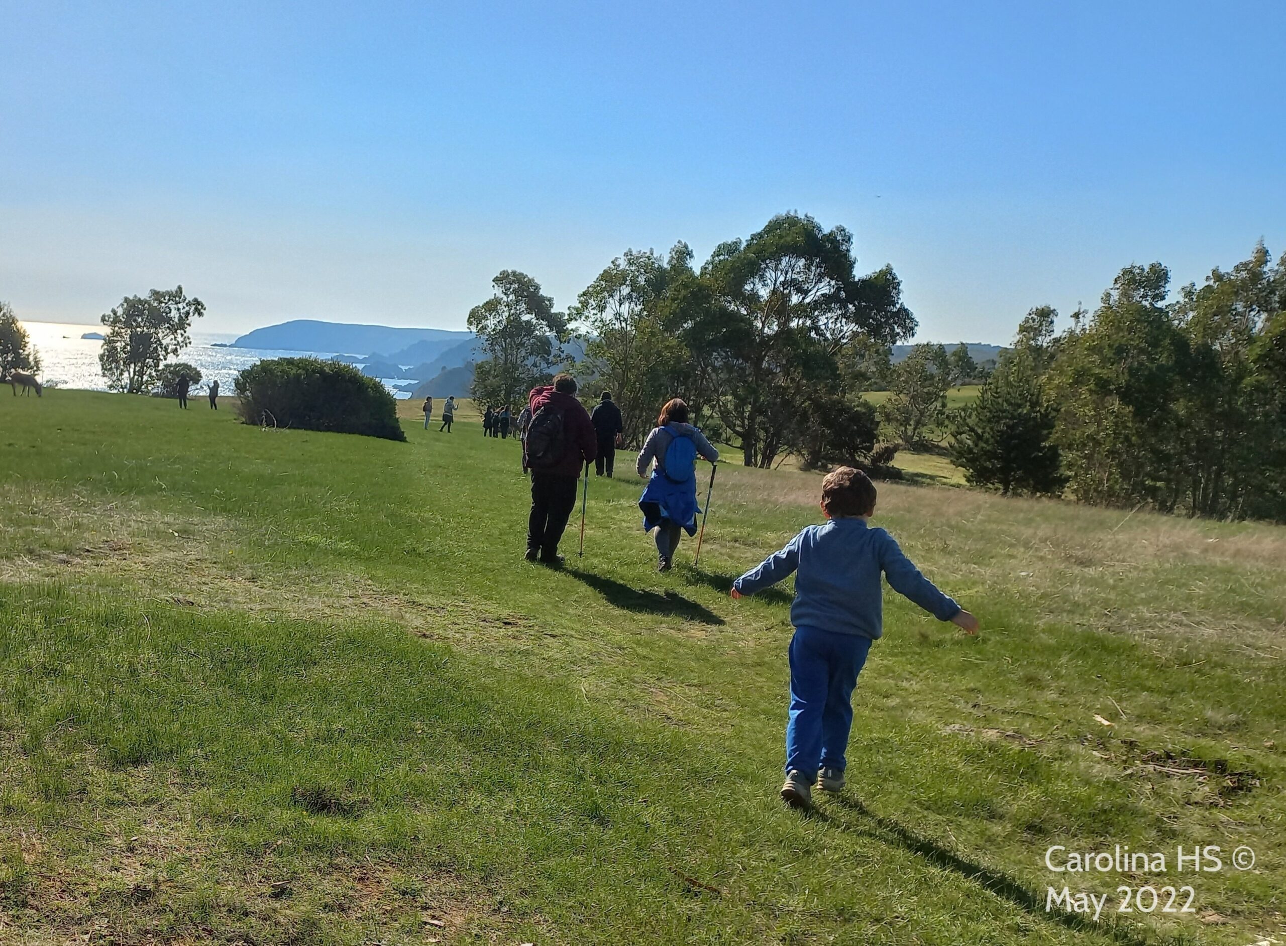 Estudio revela brechas en el conocimiento de la biodiversidad en la Provincia de Concepción 